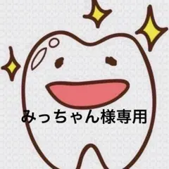 みっちゃん様専用ページ 歯ブラシ