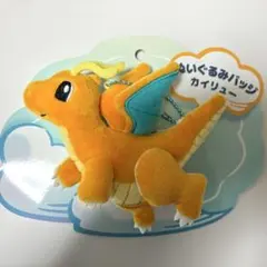 포켓몬스터 봉제인형 배지 Soaring Dreams 망나뇽