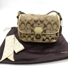 COACH 코치 시그니처 크리켓 숄더백 스카프 포함