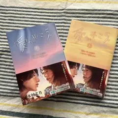 「愛の、がっこう。」上下巻セット