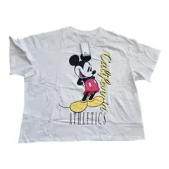 Item thumbnail for item 855d5262-0e04-482b-bd38-7e86be103b68