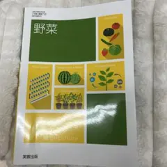 野菜