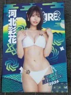 入手困難超レア新品神木麗2026TRE台北國際成人展会場限定クリア