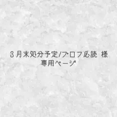 ３月末処分予定/プロフ必読 様 専用ページ