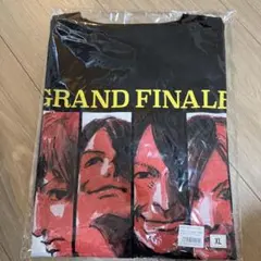 GLAY GRAND FINALE 2024-2025 イラスト Tシャツ L - メルカリ