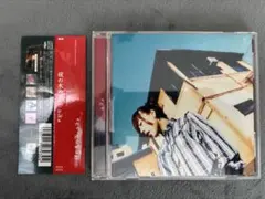 aiko / 桜の木の下