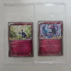 2026年最新】ポケモンカード ゼルネアス 051/XY-P プロモの人気