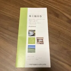 東急不動産ホールディングス 株主優待券のサムネイル