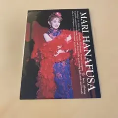 Item thumbnail for item 4e2ac281-1d58-487d-8886-a8c5582c7ff3