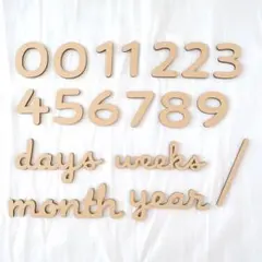 Item thumbnail for item 53ff5510-0f84-4373-a10e-c90a1d16e75f