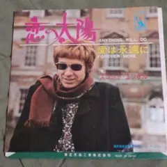 スコット・エンゲル(Walker Bros.)★1962年＜恋の太陽＞