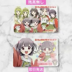 ビックカメラギフトカード ビッカメ娘 使用済み 4種類セット | Mercari