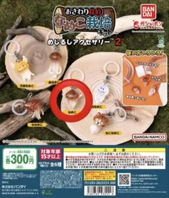 【新品未使用】なめこ栽培キット めじるしアクセサリー2　なめこ