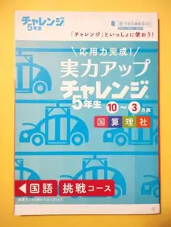 2026年最新】進研ゼミチャレンジ5年生の人気アイテム - メルカリ