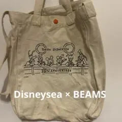 レア 東京ディズニーシー ビームス コラボバッグ
