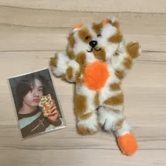 BOYNEXTDOOR ボネクド　プネクド　ソンホ　ぬいぐるみ　トレカ付き