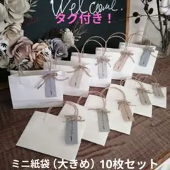 ミニ紙袋（大きめ）ホワイト無地10枚セット淡色タグ付き！