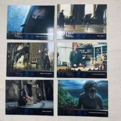 ハリーポッターとアズカバンの囚人　トレカ　リーマス・ルーピン　6枚セット