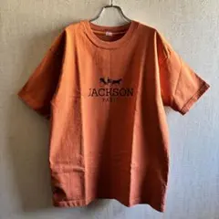 新品!未開封!エイモストイ ジェームス ジャービス 箱付き - メルカリ