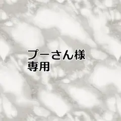 専用出品