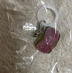 Item thumbnail for item cf7f1541-2d9c-4508-87ee-6feea95c9d41