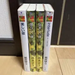 美しい彼　4冊セット