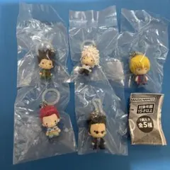 HUNTER×HUNTER めじるしアクセサリー フルコンプ 全5種　1弾