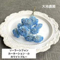 済　mayufuji ♡空花♡様　ご専用