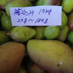 摘果マンゴー７キロ 摘果マンゴー7kg - メルカリ