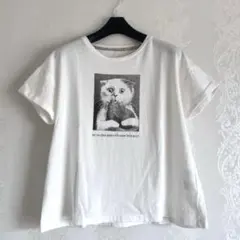 Cat's Nap Time ネコTシャツ コムちゃん 白Tシャツ 猫柄のサムネイル