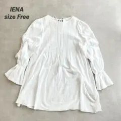 Item thumbnail for item 5596abd4-96db-4689-bc01-94b697686f31