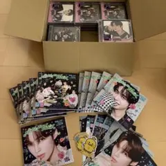 ゼベワン アイドル