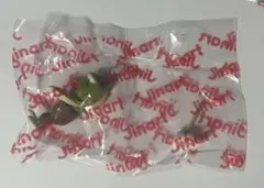 スポンジ・ボブ ビキニボトム ミームコレクション　モップかけのフレッド