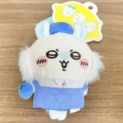 中国限定 MINISO 치이카와 フルーツ店員 マスコット 모모가