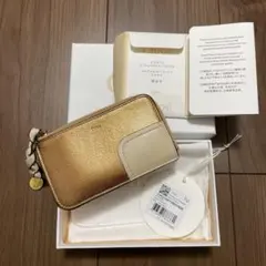 Chloe アルファベットフラグメントケース