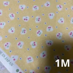 ミニオン様専用】あおりポケット付きトートバッグM 倉敷8号帆布 エバー