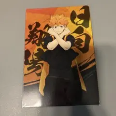 ハイキュー 日向翔陽 ポストカード