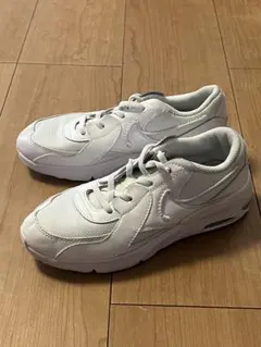 NIKEエアマックスエクシ-ps