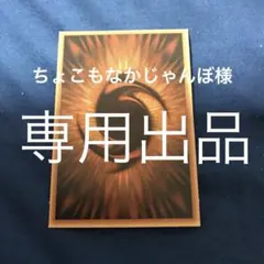 ちょこもなかじゃんぼ様 リクエスト 3点 まとめ商品