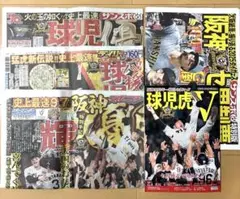 阪神タイガース優勝記念新聞雑誌セット