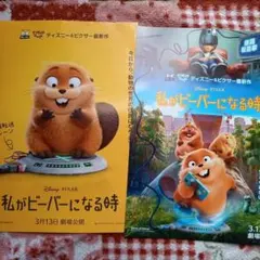 映画 『 私が ビーバーになる時 』の映画チラシ フライヤー