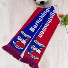 【入手困難】SV Berlichingen Jagsthausen マフラー