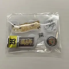 坂本誠志郎 2026 シークレット 選手ぷっくりシール 阪神タイガース ②のサムネイル