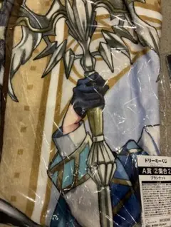 2025年最新】ウォーターチャレンジ ブランケットの人気アイテム - メルカリ