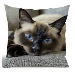 Item thumbnail for item 23a10439-6b95-401b-b0b7-b35fd9011f29