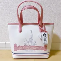 週末セール！【フロリダ限定】WDW新作 ショルダーバッグ サコッシュ