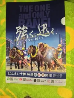 ばんえい十勝　サクラヒメ　グッズセット 2026年最新】ばんえい競馬の人気アイテム - メルカリ