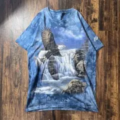THE MOUNTAIN イーグル Tシャツ タイダイ 古着 アメカジ