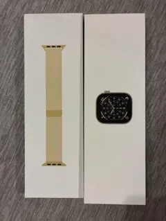 Apple Watch Series 11 42mm チタニウム+純正ミラネーゼ