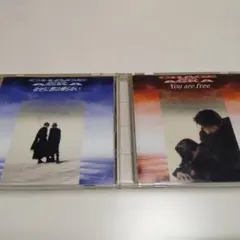 のんきな仙人39さん様 リクエスト 2点 まとめ商品